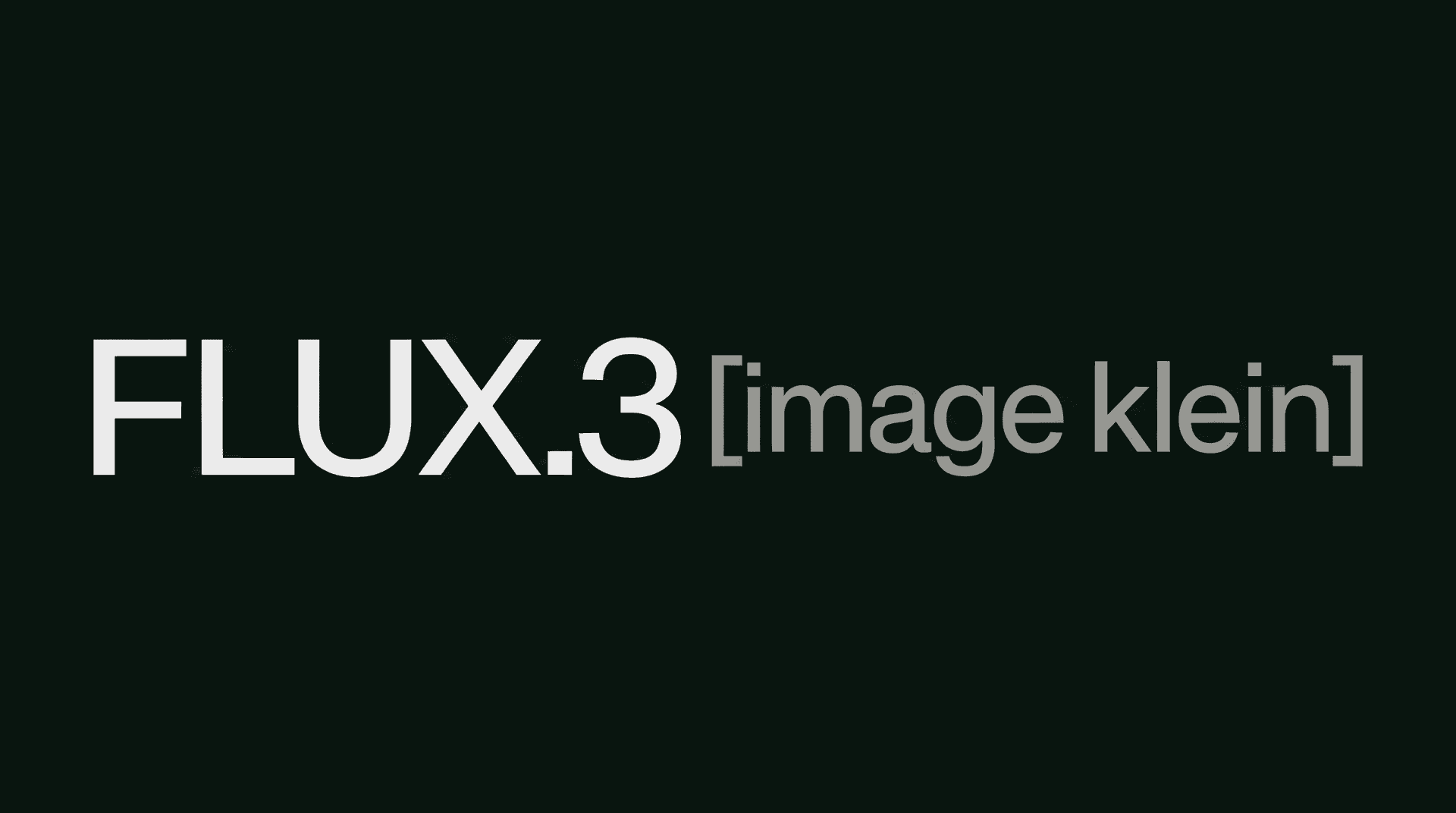 FLUX 3 Image Kleinのカバー画像