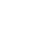 Model logo