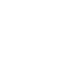 Model logo