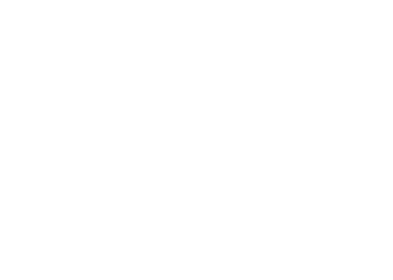 Black Forest Labs logo